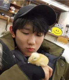 猪妹吃瓜王源视频,揭秘明星幕后趣事