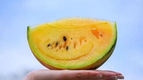 免费吃瓜黄料视频,带你领略网络娱乐新潮流