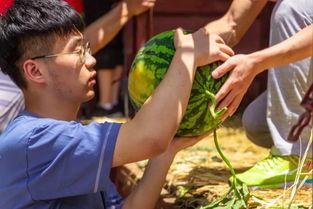 各个大学吃瓜视频,校园吃瓜视频盘点，揭秘校园生活百态