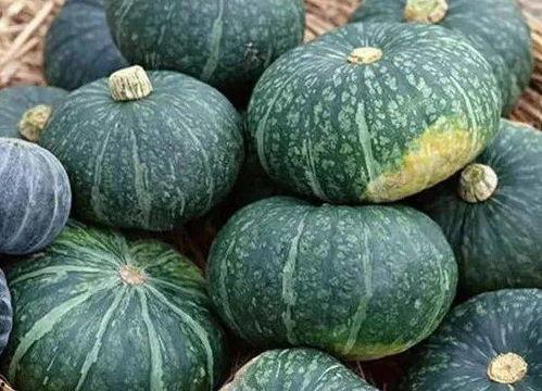 佛指瓜怎么吃最好吃呢视频,视频揭秘最佳食用方法