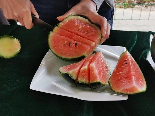 洛阳理工吃瓜视频,揭秘校园生活趣味瞬间