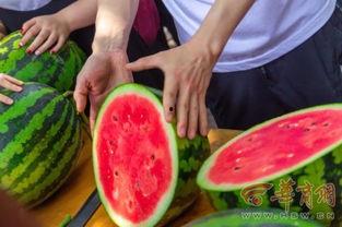 陕师大老师吃瓜视频,校园生活新视角