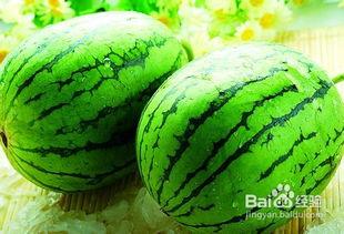 吃西瓜南瓜哈密瓜的视频,西瓜、南瓜、哈密瓜美味大比拼