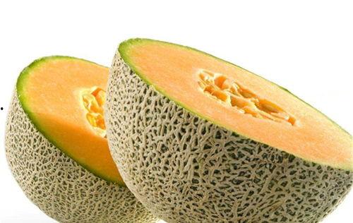 狗狗吃绿哈密瓜好吗视频,营养与注意事项