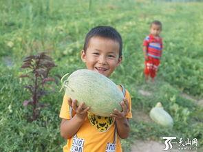 吃瓜群众小孩儿视频,小孩儿吃瓜群众视频萌态十足