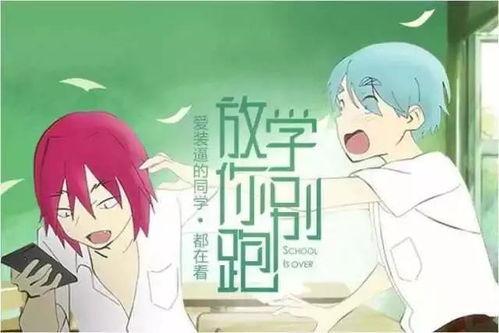 播放吃瓜讲故事视频,跟随镜头探寻那些鲜为人知的吃瓜故事