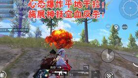 吃鸡瓜的好处视频,揭秘健康生活新选择