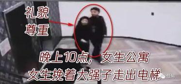 礼貌吃瓜视频,揭秘礼貌吃瓜视频的趣味与智慧