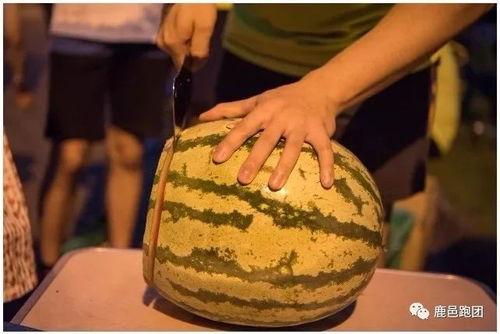 比赛吃瓜视频大全,一网打尽比赛吃瓜视频大全