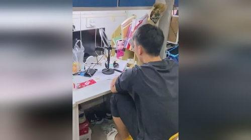 陈青男孩的吃瓜视频,揭秘娱乐圈幕后真相