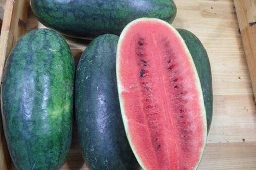 吃黑瓜视频,揭秘吃黑瓜的神奇功效与美味体验