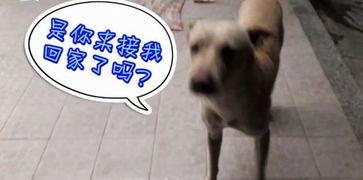 吃瓜场面视频,吃瓜群众狂欢，一场视觉盛宴