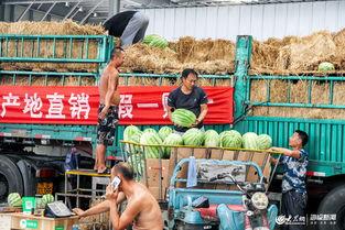 劳动者吃瓜视频,劳动者生活百态