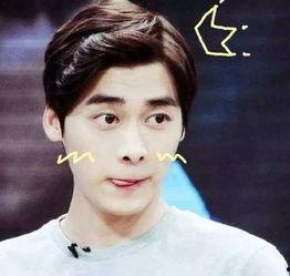 李易峰吃瓜日记视频播放