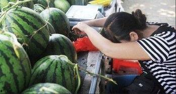 农村宝妈网红吃瓜视频,揭秘乡村生活趣味瞬间