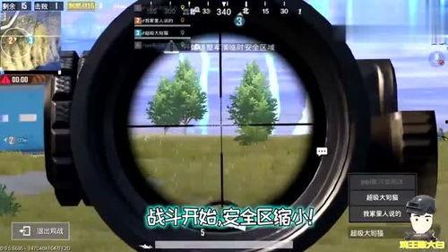 猫吃瓜视频现场,现场直播，萌宠吃瓜大赛精彩瞬间