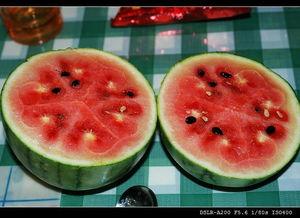 奥运会意大利吃瓜视频大全,一场视觉与味蕾的双重盛宴