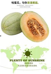 你吃哈密瓜的样子视频,哈密瓜美味瞬间捕捉