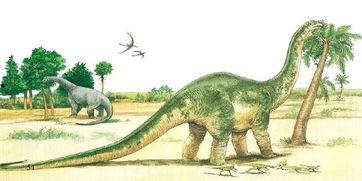 恐龙吃瓜视频,揭秘恐龙与“瓜果”的神秘邂逅