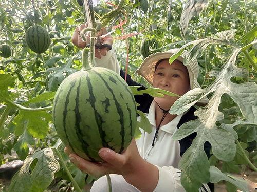 无敌小瓜吃烟灰视频,惊险瞬间引网友热议