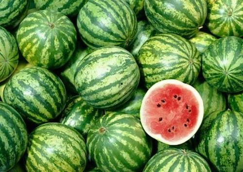 吃西瓜需要摘头瓜吗视频