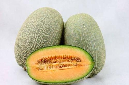 坏人吃哈密瓜视频,一场意想不到的较量