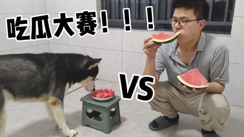 吃瓜爆笑场景视频,爆笑视频里的欢乐瞬间