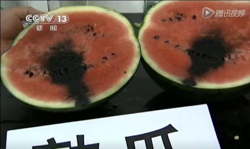 解剖吃瓜视频在哪里有,揭秘网络热传视频背后的秘密